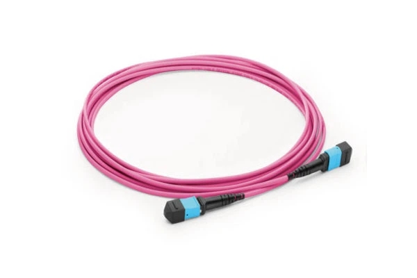 12F OM4 MMF MPO-MPO trunk cable