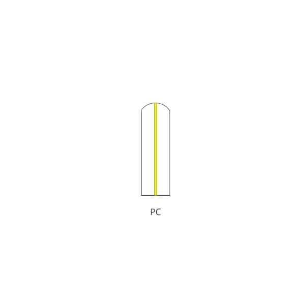 PC type