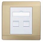 wall style 2 port faceplate