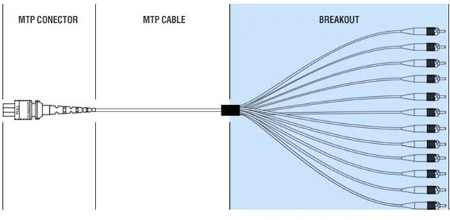 MTP/MPO fiber break out patch cable